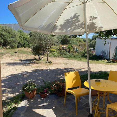 La Maison Di Zia Annina In Olbia Porta Della Costa Smeralda オルビア エクステリア 写真