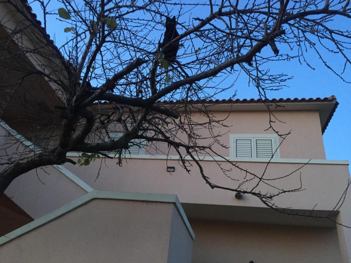 La Maison Di Zia Annina In Olbia Porta Della Costa Smeralda オルビア エクステリア 写真