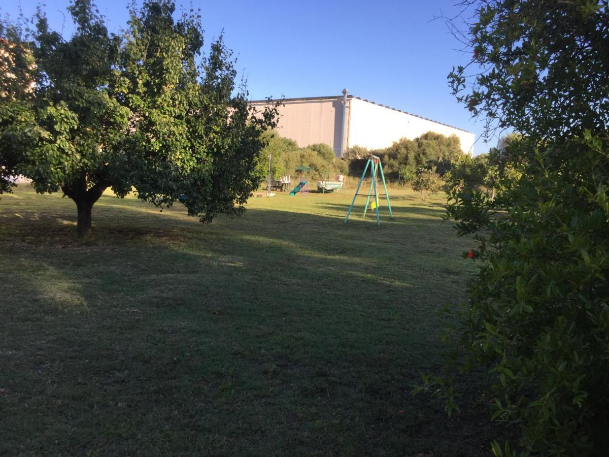 La Maison Di Zia Annina In Olbia Porta Della Costa Smeralda オルビア エクステリア 写真