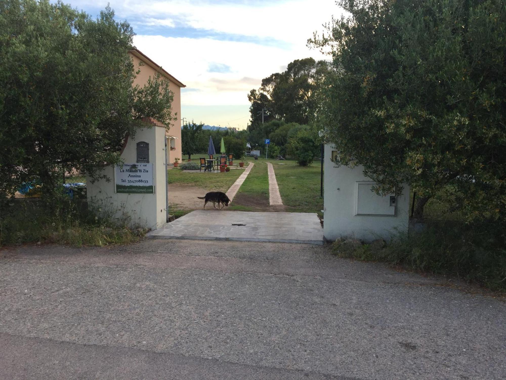 La Maison Di Zia Annina In Olbia Porta Della Costa Smeralda オルビア エクステリア 写真