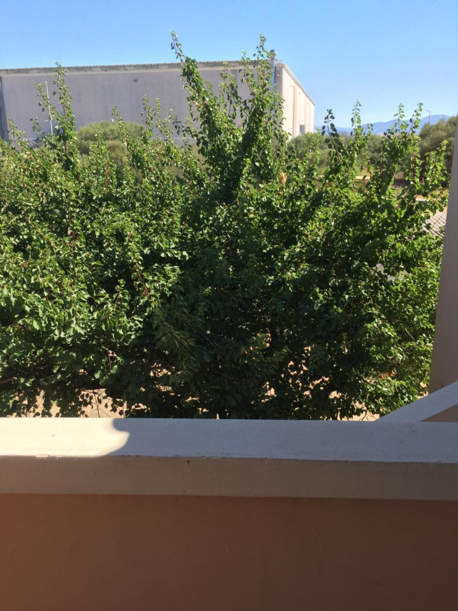 La Maison Di Zia Annina In Olbia Porta Della Costa Smeralda オルビア エクステリア 写真