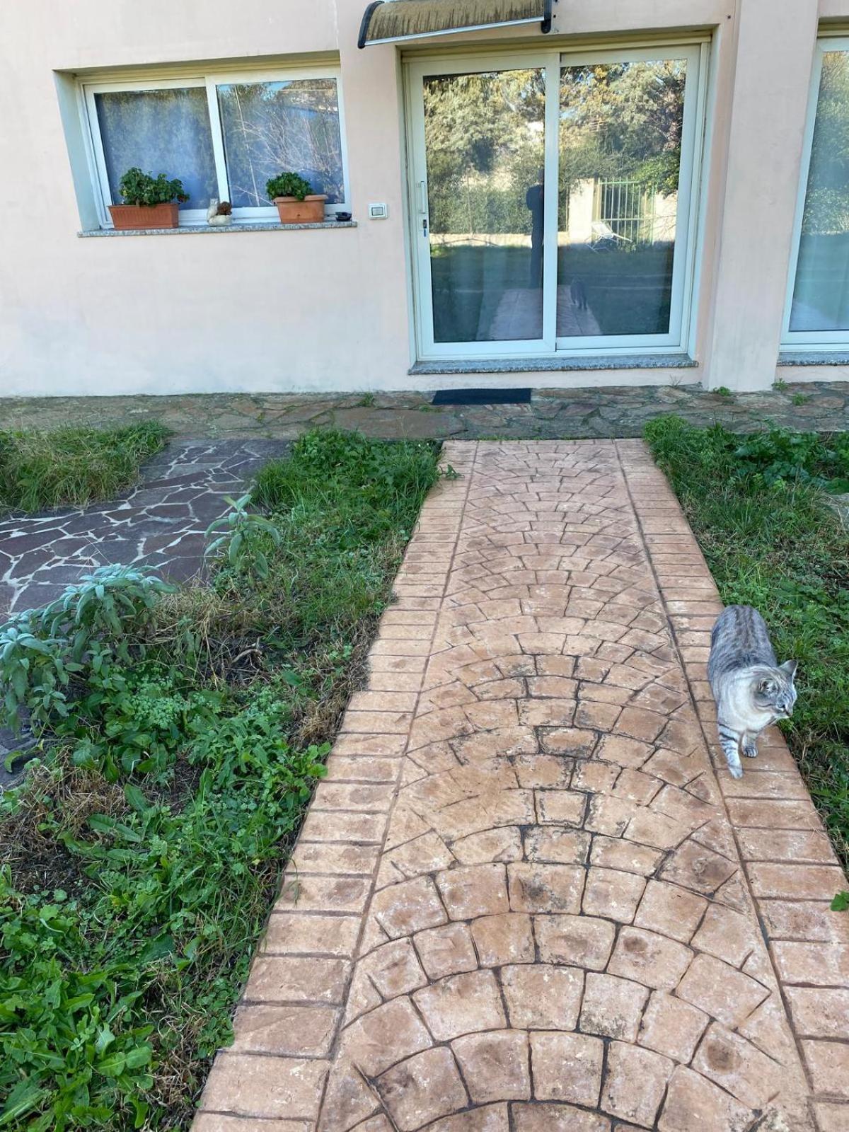 La Maison Di Zia Annina In Olbia Porta Della Costa Smeralda オルビア エクステリア 写真