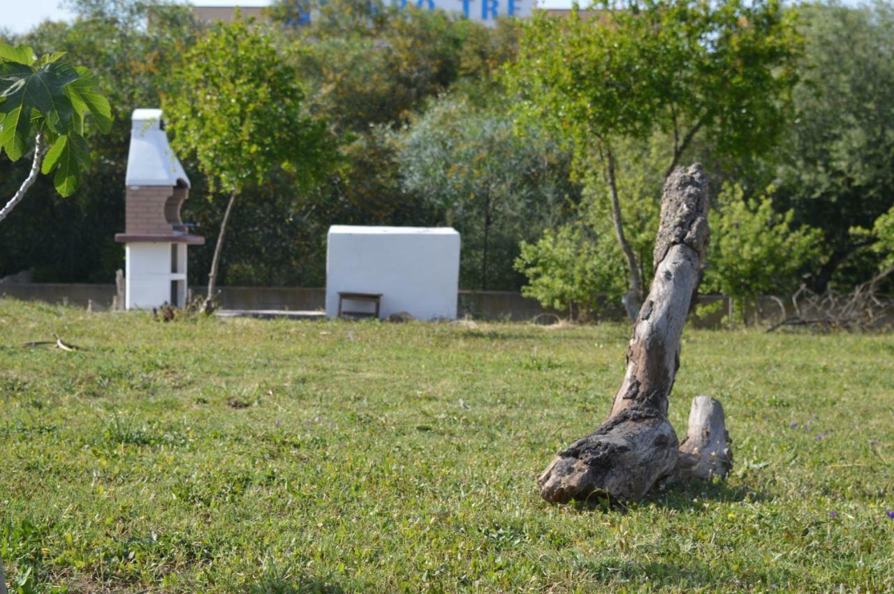 La Maison Di Zia Annina In Olbia Porta Della Costa Smeralda オルビア エクステリア 写真